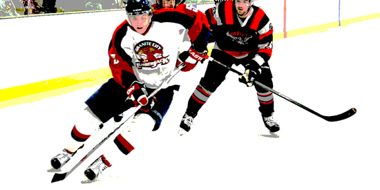 WE NEED TO RID TWENTY-BOMBS FROM PAY2PLAY JUNIOR HOCKEY Article Photo