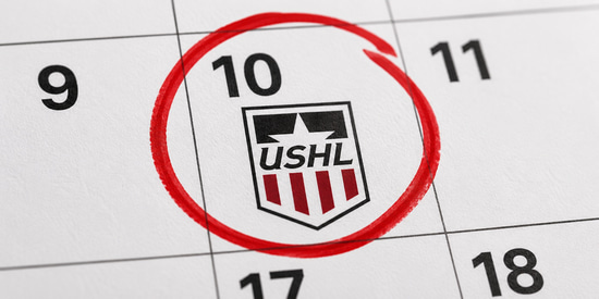 The Day USHL Opportunity Gets Real Article Photo