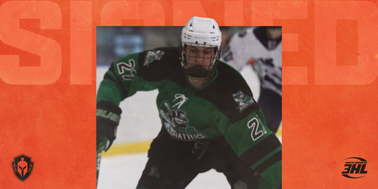 WARRIORS ADD DEFENSEMAN BEN CRAFT Article Photo